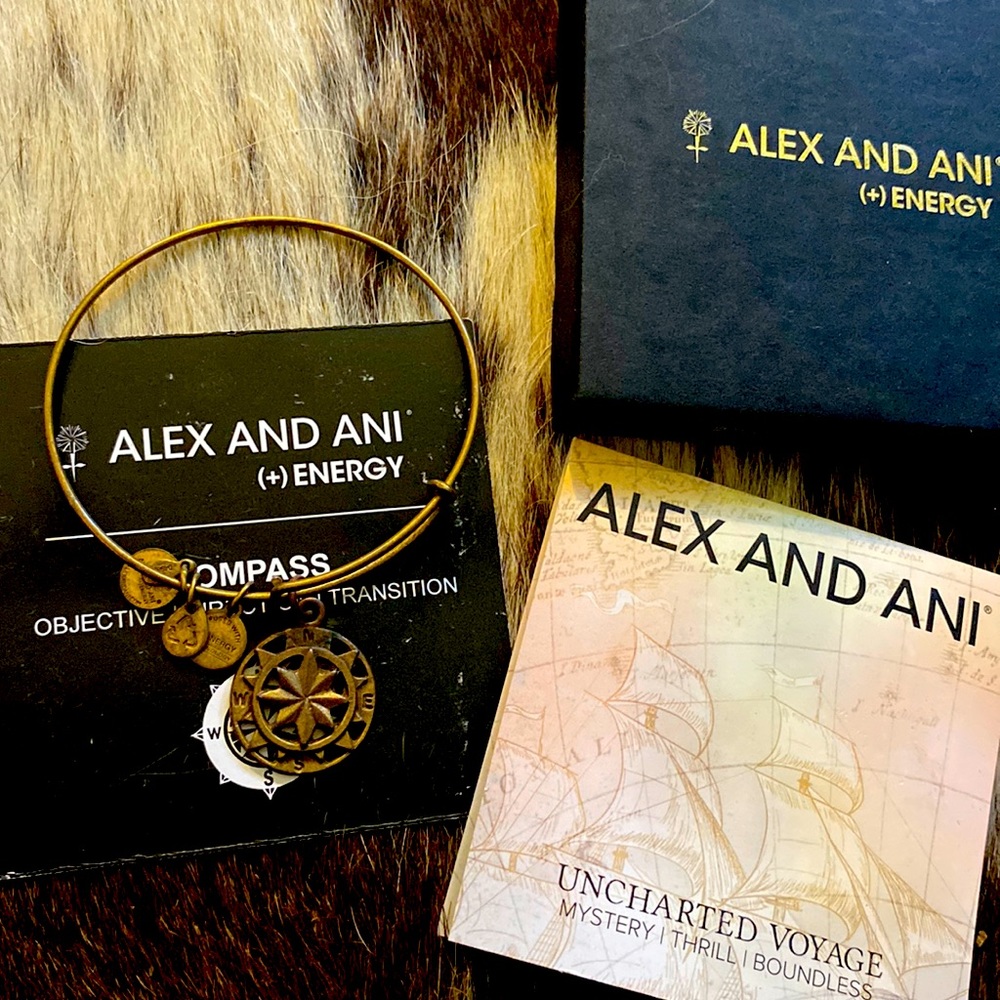 Alex and ani COMPASS bracelet